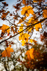 Similar image 22586673