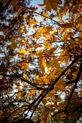 Similar image 22586691