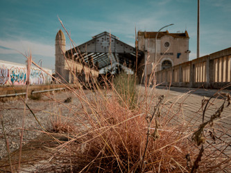 Similar image 22586701