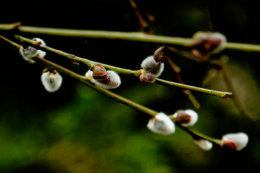 Similar image 22586716