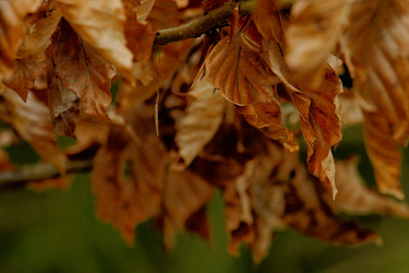 Similar image 22586719