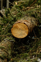 Similar image 22586736