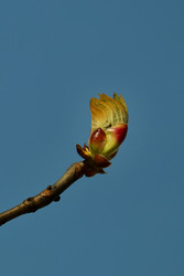 Similar image 22586749