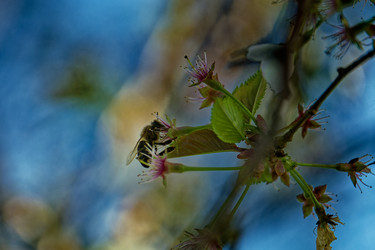 Similar image 22586805