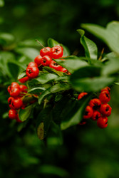 Similar image 22586818