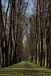 Similar image 22586819