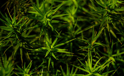 Similar image 22586821