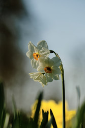 Similar image 22586823