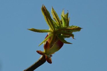 Similar image 22586835