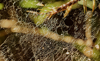 Similar image 22586838