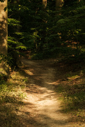 Similar image 22586840