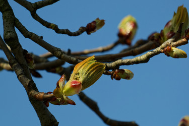 Similar image 22586852