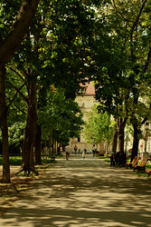 Similar image 22586853