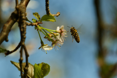 Similar image 22586868