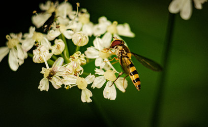 Similar image 22586871