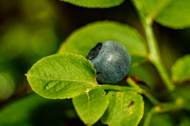 Similar image 22586882