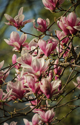 Similar image 22586883