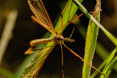 Similar image 22586884