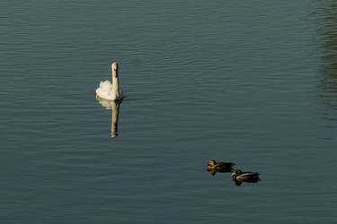 Similar image 22589860