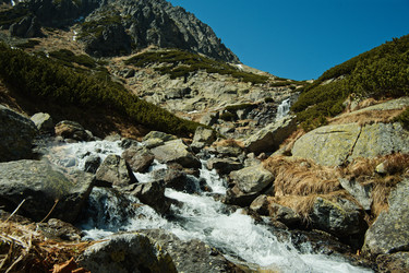 Similar image 22589861