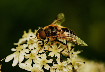 Similar image 22589878