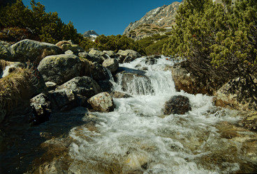 Similar image 22589894