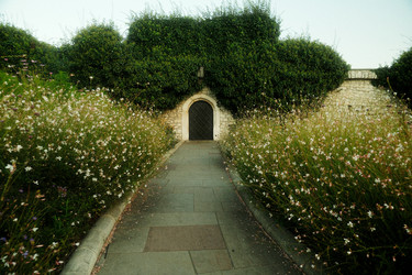 Similar image 22589895