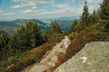 Similar image 22589923