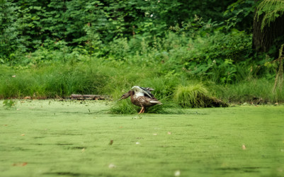 Similar image 22589938