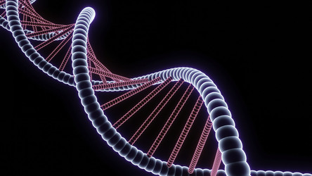 Similar image 22574757