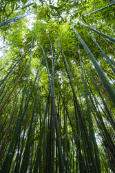 Similar image 22590029