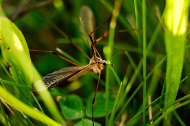 Similar image 22585573