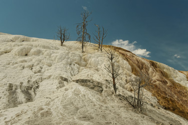 Similar image 22585588