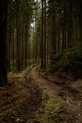 Similar image 22585602