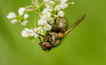 Similar image 22585621