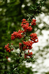 Similar image 22585634