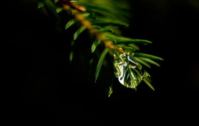 Similar image 22585649