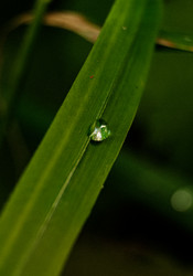 Similar image 22586677