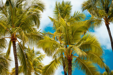 Similar image 22586678