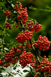 Similar image 22586737