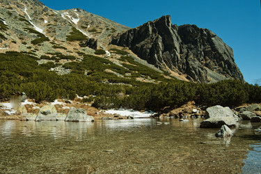 Similar image 22586765