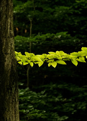 Similar image 22586774