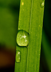 Similar image 22586796