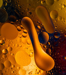 Similar image 22586810