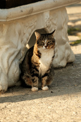 Similar image 22586811