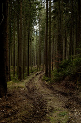 Similar image 22586829