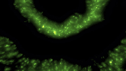 Similar image 22573706