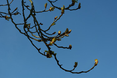 Similar image 22589909