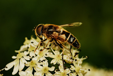 Similar image 22589924