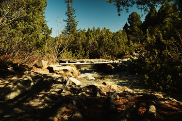 Similar image 22589925